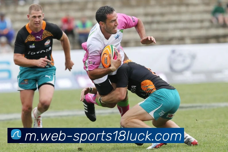 18新利体育平台生态图